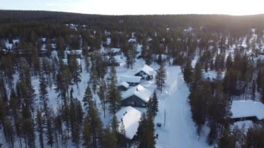 Norveç 'te karlı bir ormanın güzel bir kış manzarası.