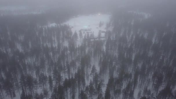 Karlı Kış Manzarası — Stok video