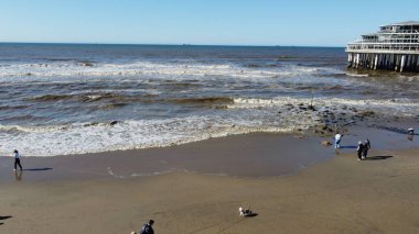 Kuzey Denizi 'ndeki denizin kumsalı.