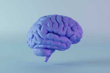 Mavi arka planda mavi bir erkek beyninin 3 boyutlu görüntüsü. Tıbbi ve nörolojik bilimde erkek ve erkek sezgileri ve zekası kavramı.