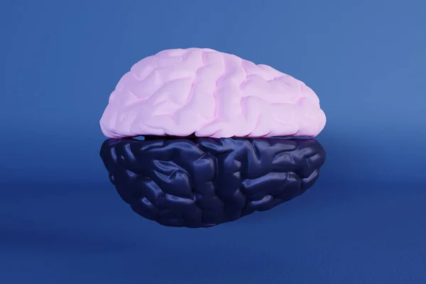 白黒脳半球を有する脳の3Dレンダリング 精神科医による神経科学と双極性障害に関するコンセプト — ストック写真