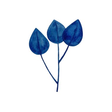 Suluboya tasarımcı unsurları mavi yapraklar, yeşillik sanat yaprakları suluboya tarzda doğal yapraklar. Dekoratif güzellik tasarımı için zarif bir illüstrasyon