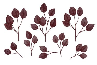 Suluboya tasarım elementleri kahverengi, bordo yapraklar, yeşillik yeşili yapraklar suluboya tarzında doğal bitkiler. Dekoratif güzellik tasarımı için zarif bir illüstrasyon