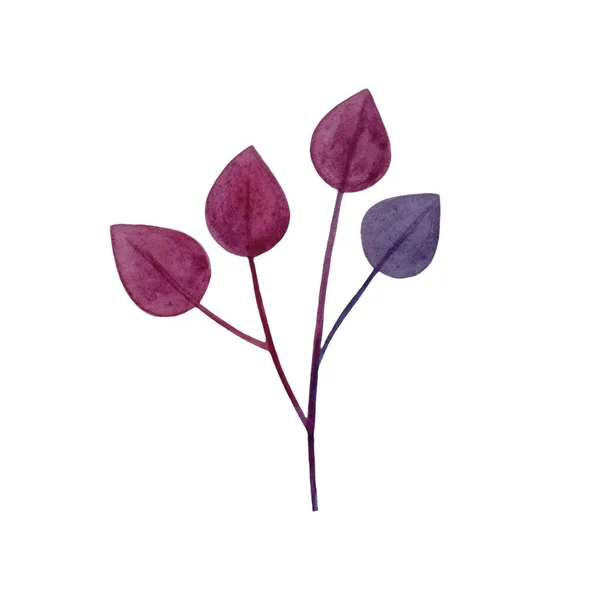 Акварель Дизайнер Элементов Набор Коллекции Розовых Фиолетовых Листьев Художественной Листвы — стоковое фото
