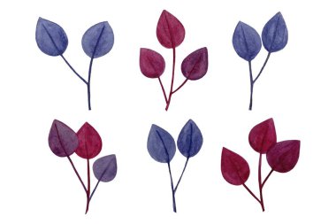 Suluboya tasarım elementleri renkli yeşil yapraklar, yeşillik yeşili yapraklar suluboya tarzında doğal bitkiler topladılar. Dekoratif güzellik tasarımı için zarif bir illüstrasyon