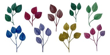 Suluboya tasarım elementleri renkli yeşil yapraklar, yeşillik yeşili yapraklar suluboya tarzında doğal bitkiler topladılar. Dekoratif güzellik tasarımı için zarif bir illüstrasyon