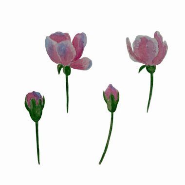 Çiçek elementleri seti. Çiçek ve yeşil yapraklar. Düğün konsepti: Çiçekler. Çiçek posteri, davet. Tebrik kartı veya davet tasarımı için vektör düzenlemeleri