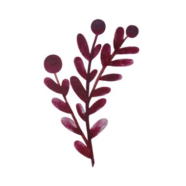 Soyut suluboya bitkisel elementler bırakır. Beyaz arkaplanda izole edilmiş yaprak suluboya resmi