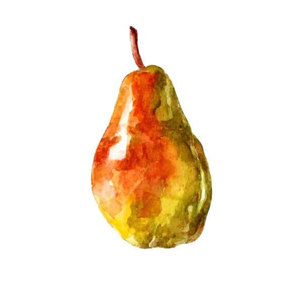 水彩画のセットおいしい夏梨の果物のイラスト 自然なシームレスなテクスチャ 白い背景に熟した梨と黄色の梨 — ストック写真