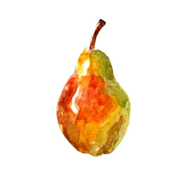 Sada Akvarelů Chutné Letní Hrušky Ovoce Ilustrace Přirozená Bezešvá Textura — Stock fotografie