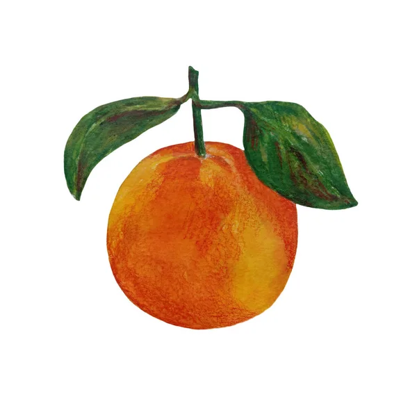 Orangefarbene Aquarellzeichnung Zitrusfruchtzweig Orange Orangenscheibe Orangenset Isoliert Auf Weißem Hintergrund — Stockfoto
