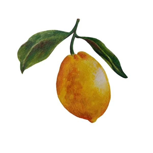 Limones Amarillos Ilustración Acuarela Rama Cítrica Naranja Rodaja Naranja Conjunto — Foto de Stock