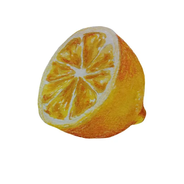 黄色のレモン水彩イラスト 柑橘系の果実の枝オレンジ オレンジのスライス 白の背景に隔離されたオレンジセット — ストック写真