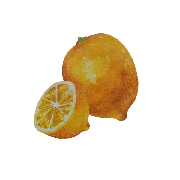 Yellow Lemons Watercolor Illustration Citrus Fruit Branch Orange Orange Slice — Stock Photo, Image