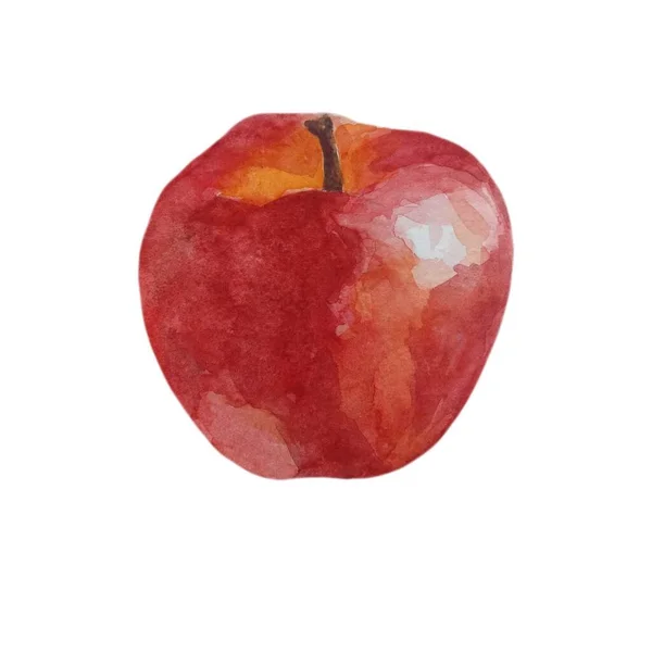 Bir dizi suluboya, lezzetli yaz elmaları, meyve çizimleri. Doğal dikişsiz doku. Beyaz arkaplanda olgun ve kırmızı elmalar.