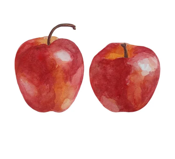 水彩画のおいしい夏のリンゴの果物のイラストのセット 自然なシームレスなテクスチャ 白い背景に熟したリンゴと赤いリンゴ — ストック写真