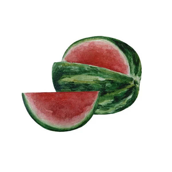 Vattenfärg Vattenmelon Clipart Set Sommar Mogen Frukt Isolerade Element Vit — Stockfoto