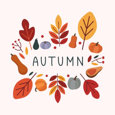 Sonbahar vekil tebrik kartı posteri, balkabakları, yapraklar ve el yazısıyla yazılmış harfler. Çizgi film tarzında vektör illüstrasyonu