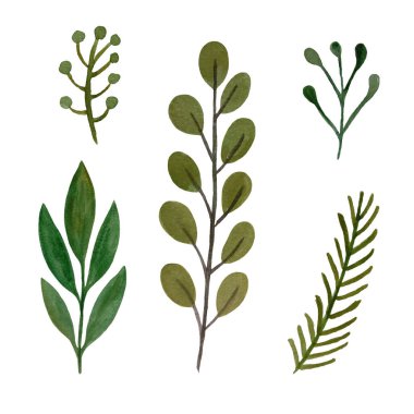 Suluboya Noel bitkileri seti. El çizimi botanik elementler beyaz arkaplanda izole.