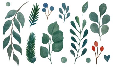 Suluboya Noel bitkileri seti. El çizimi botanik elementler beyaz arkaplanda izole.