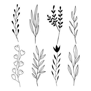 El, Beyaz Arkaplanda Siyah ve Beyaz Bahar Çiçekleri Çekiyor. Robot resim. Doodle tarzı