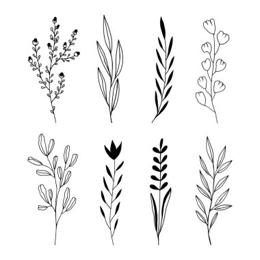 El, Beyaz Arkaplanda Siyah ve Beyaz Bahar Çiçekleri Çekiyor. Robot resim. Doodle tarzı