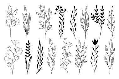 El, Beyaz Arkaplanda Siyah ve Beyaz Bahar Çiçekleri Çekiyor. Robot resim. Doodle tarzı