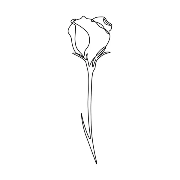 Çiçek bir çizim sanatı. Vazodaki çiçekleri çizmeye devam et. Taslak çizimi kavramsal el çizimi