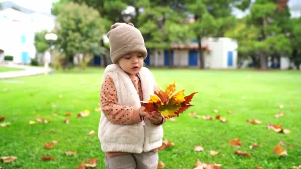 一个戴帽子的小孩高兴地在公园里拿着一堆树叶 周围是树 灌木和茂密的绿草 大自然中的人们在自然景观中享受着闲暇时光 — 图库视频影像