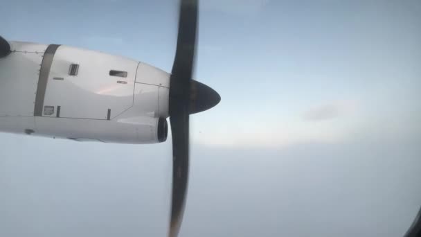 Aeronave Movida Hélices Está Subindo Através Das Nuvens Fofas Céu — Vídeo de Stock