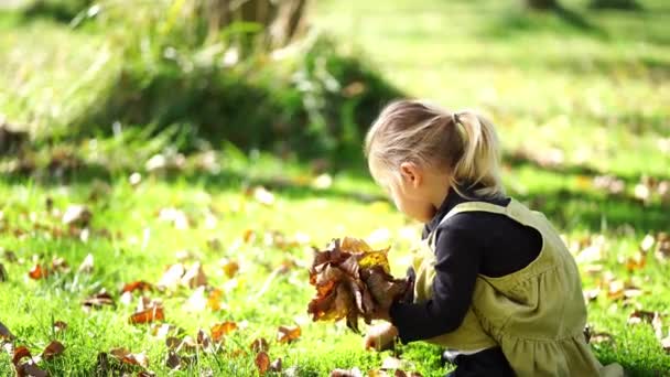 Ένα Μικρό Παιδί Κάθεται Χαρούμενα Στο Γρασίδι Παρατηρώντας Φύλλα Ένα — Αρχείο Βίντεο