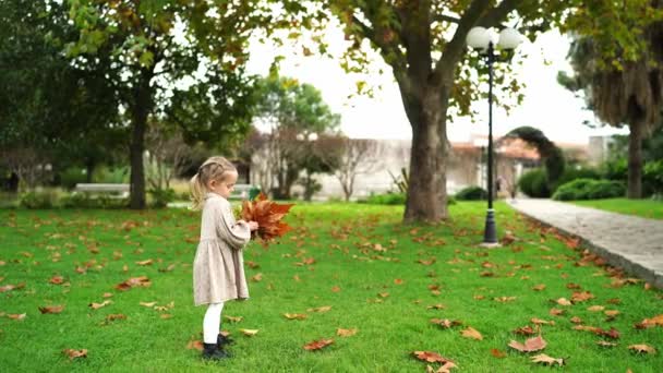 Lille Barn Kaster Lykkeligt Blade Park Omgivet Træer Græsarealer Naturlandskaber – Stock-video