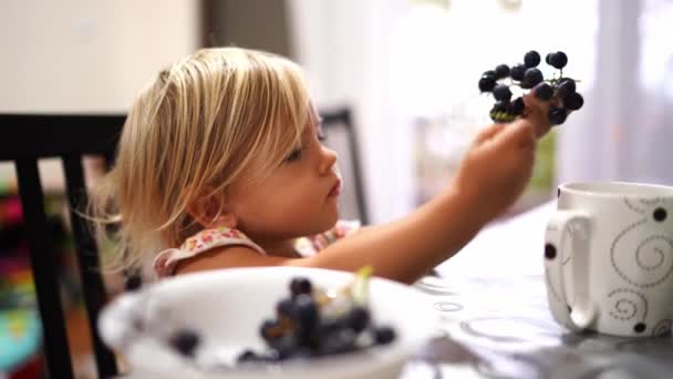 Küçük Kız Bir Daldan Üzüm Topluyor Masada Otururken Bir Fincanın — Stok video