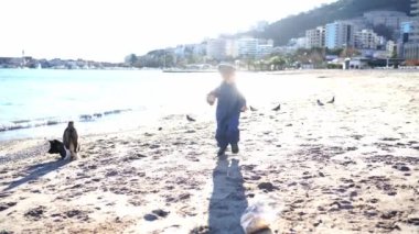 Bir adam ve köpeği kumlu sahil boyunca yürüyorlar, su güneşli gökyüzünün altında parlıyor. Ufuk önlerinde uzanır, hafif bir rüzgar doğada eser.