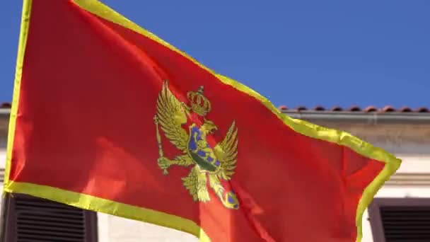 Den Pulserende Røde Gule Flag Prydet Med Ørn Flagrer Vinden – Stock-video