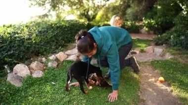 Annesi yavru köpeklerle oynarken küçük kız kenara çekiliyor. Yüksek kalite 4k görüntü