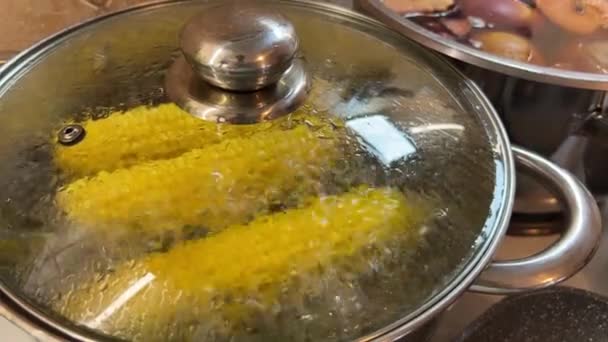 コブの上のトウモロコシは 水に浸されたガラス蓋で鍋で調理しています キッチンで調理しているおいしい料理です — ストック動画