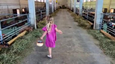 Mor elbiseli bir çocuk ahırda keçilerle oynuyor. Binanın altyapısı dışarıdaki çimlerle çelişiyor. Bu da olayı eğlenceli ve eşsiz bir seyahat deneyimi yapıyor.