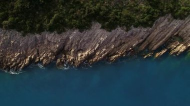 Turkuaz denizin üzerinde yeşil ormanı olan kayalık bir sahil. Drone. Yüksek kalite 4k görüntü