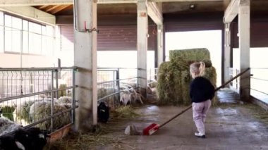 Genç bir kız bir ahır zeminini süpürge ile süpürüyor, etrafı ahşap, bitki ve otlarla çevrili. Ahırın bir kapısı var ve bir evin ve su kaynağının yanında.