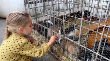 Genç bir kız, tel örgülü bileşik malzemeden yapılmış bir kafesin içinde kobay fareleri besliyor. Kürklü hayvanlar çevrelerinde güvende tutuluyor.