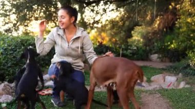 Parkta çömelirken köpek ve köpek besleyen gülümseyen kız. Yüksek kalite 4k görüntü