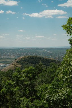 View of Budafok, background landscape in front of a forest with trees and bushes under a blue sky