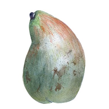 Kırmızı desenli yeşil armut. Suluboya çizimi. El çizimi. Beyaz arka planda. Tasarım, ev dekorasyonu, kumaşlar, tekstil, kartlar, davetiyeler, afişler, aksesuarlar için resim.