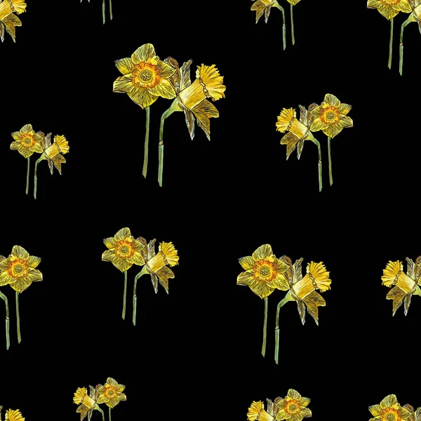 Narcissus Sömlös Mönsterbukett Handritad Akvarell Illustration Isolerad Svart Bakgrund Bild — Stockfoto