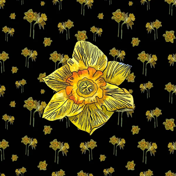 Narcissus Gula Knopp Handritad Akvarell Illustration Isolerad Svart Bakgrund Bild — Stockfoto