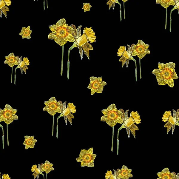 Çiçek Tomurcuk Narsissiz Desen Çizimi Suluboya Çizimi Siyah Arka Planda — Stok fotoğraf