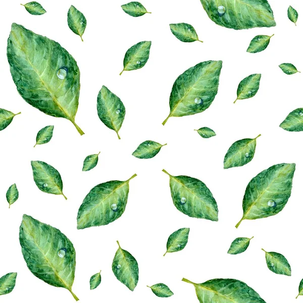 緑の葉のシームレスなパターン 水彩イラスト 手描き 隔離された白い背景 デザイン 家庭の装飾 ファブリック プリント テキスタイル カード — ストック写真