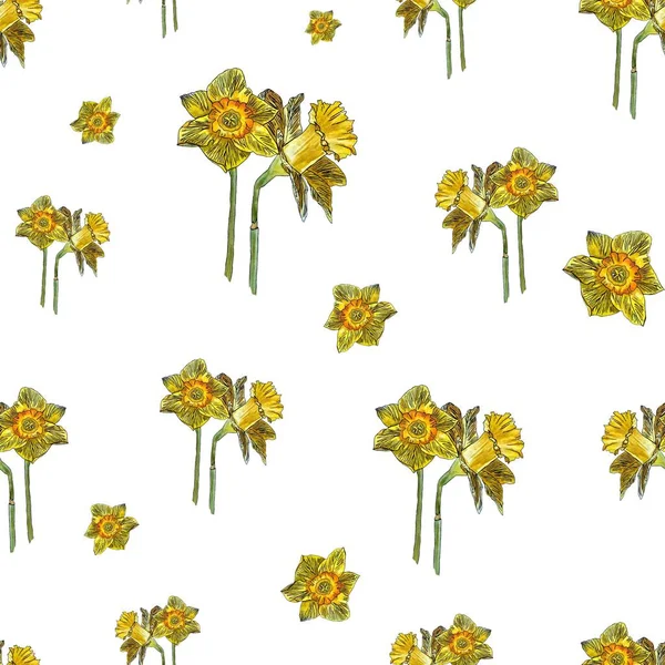 Virág Bimbó Nárcisz Zökkenőmentes Minta Kézzel Rajzolt Akvarell Illusztráció Elszigetelve — Stock Fotó