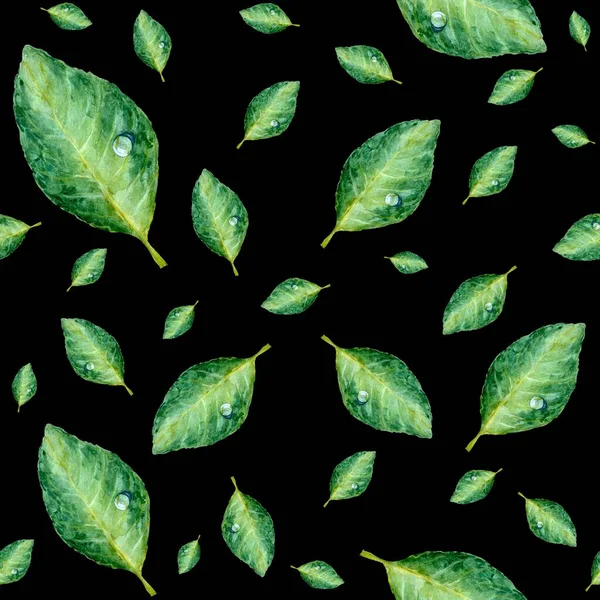 Зелений Листок Безшовний Візерунок Акварельна Ілюстрація Рука Намальована Ізольовані Чорному — стокове фото